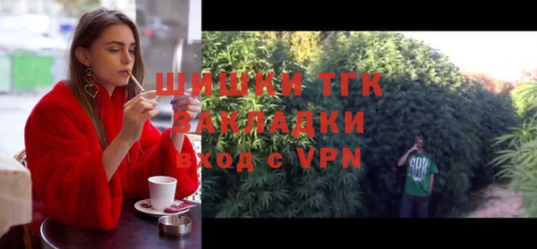 альфа пвп Дмитровск