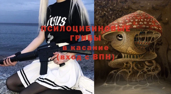 гидра Дмитриев